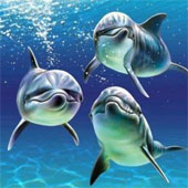 Игра Дельфины онлайн