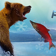 Игра Русская рыбалка онлайн