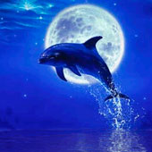 Игра Выступает дельфин 3: шоу на воде